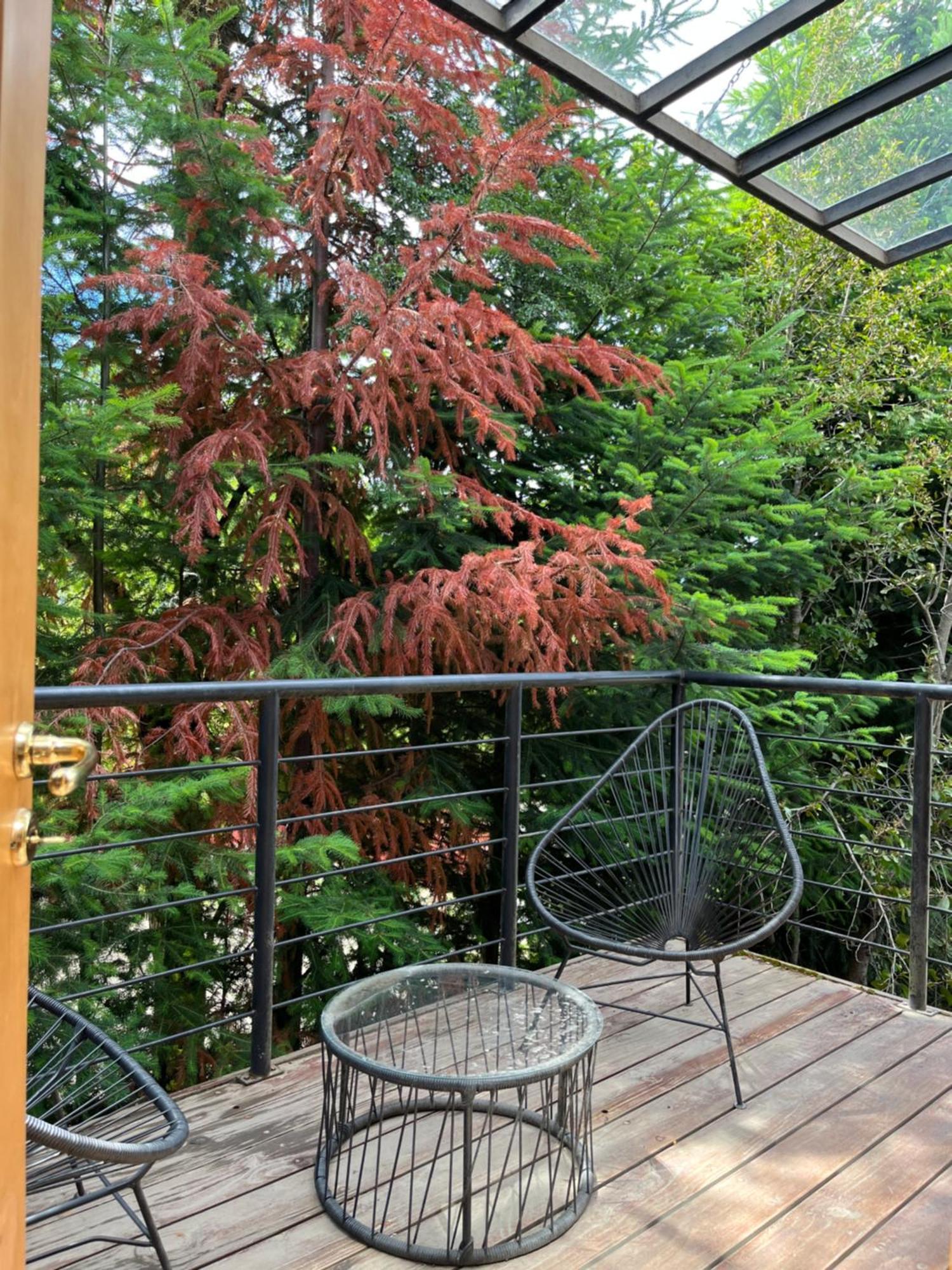 빌라라앙고스투라 Balcones Del Sayhueque 빌라 외부 사진